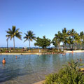 Airlie Beach Restaurants and Cafés