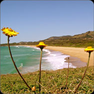 Coffs Harbour Restaurants and Cafés